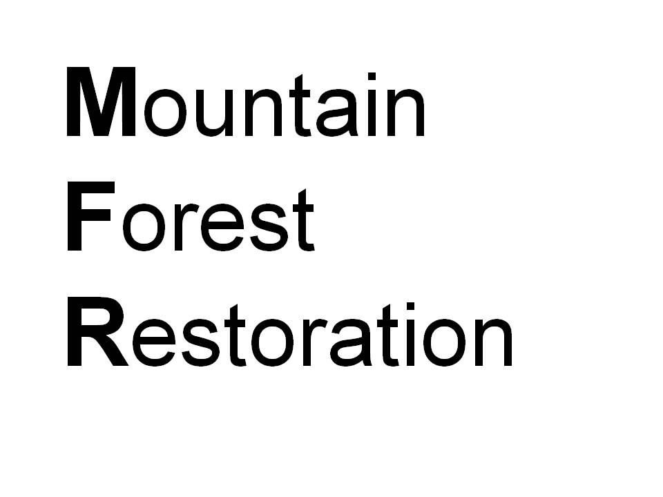 Restoring Hardknott Forest