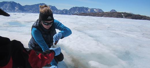 steffi sampling