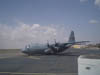 146+C130 (2)