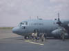 146+C130 (3)