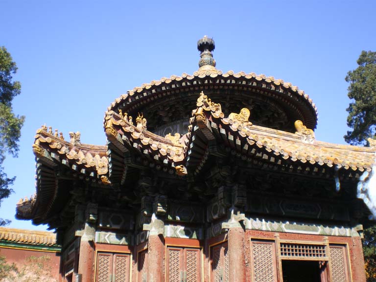 IMGP9012